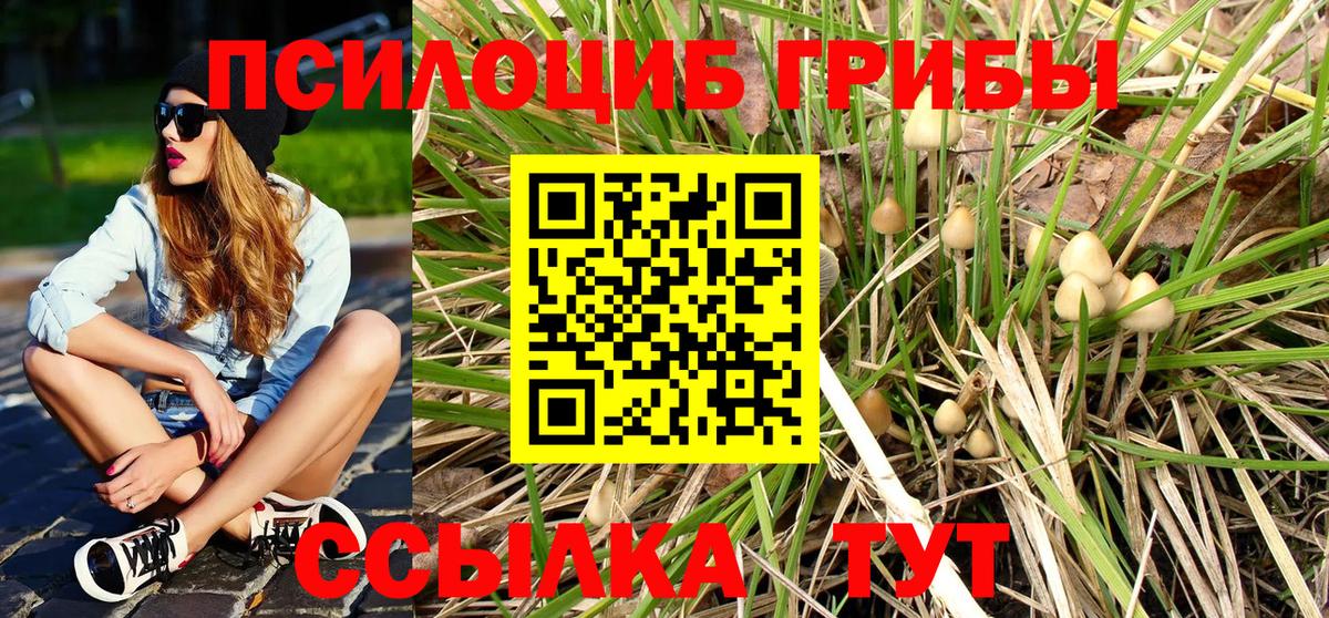 Галлюциногенные грибы ЛСД Кудрово