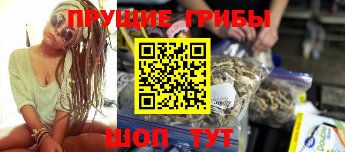 Галлюциногенные грибы MAGIC MUSHROOMS  Псилоцибиновые грибы Cubensis  Кудрово  Вход с VPN 