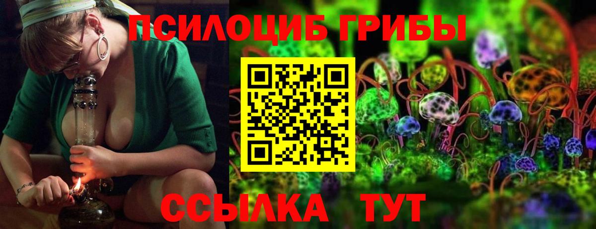 ТГК Кудрово